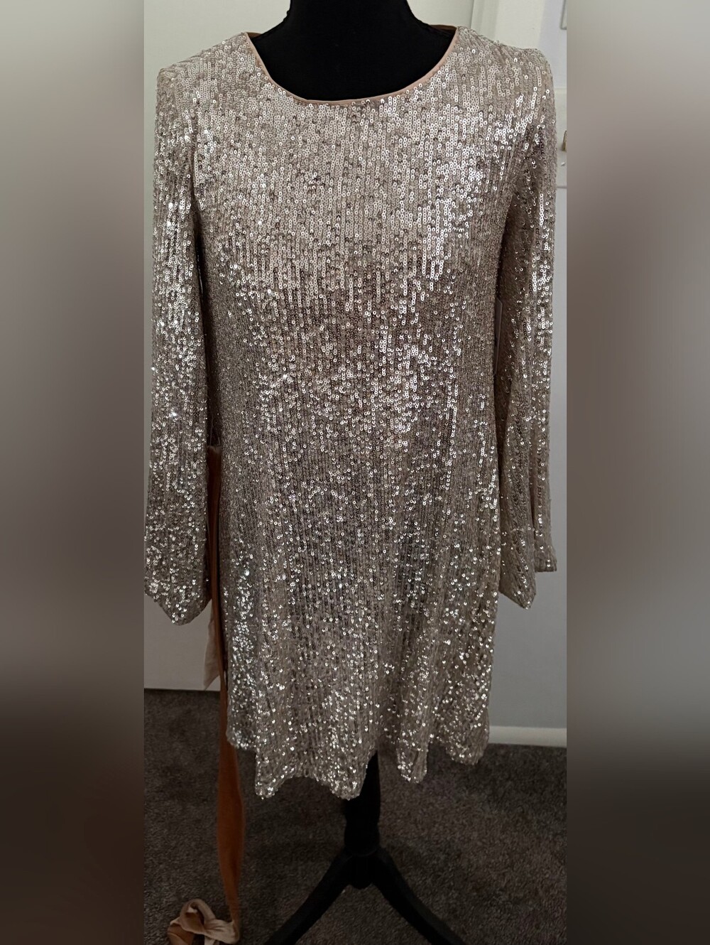 Long-Sleeve Sequin Shift Dress in Champagne